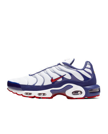 Кроссовки Nike Air Max Plus White Red Blue CJ9928-100 Белый/синий