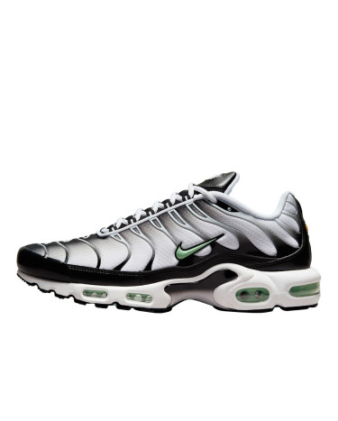 Кроссовки Nike Air Max Plus White Black Mint Green DH4776-100 Разноцветные