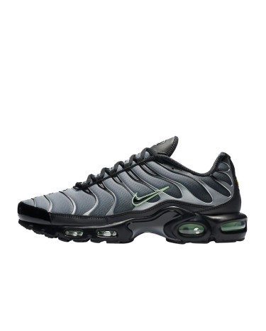Кросівки Nike Air Max Plus Black Particle Grey Vapour Green CZ7552-001 Чорний/сірий